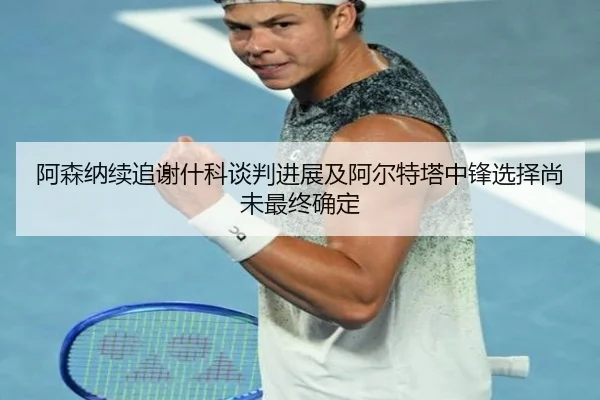 阿森纳续追谢什科谈判进展及阿尔特塔中锋选择尚未最终确定