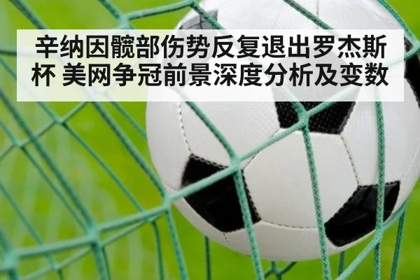 辛纳因髋部伤势反复退出罗杰斯杯 美网争冠前景深度分析及变数