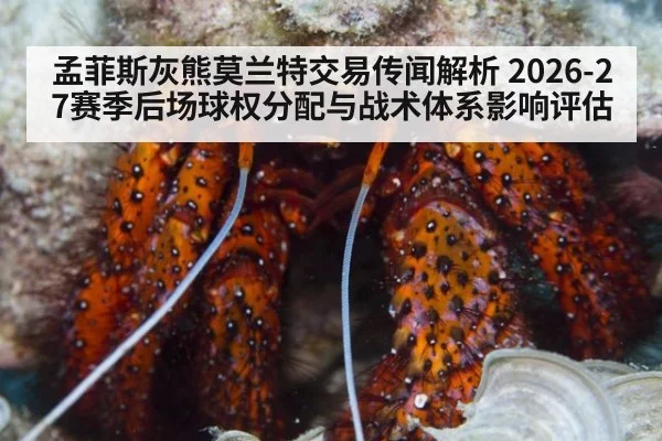 孟菲斯灰熊莫兰特交易传闻解析 2026-27赛季后场球权分配与战术体系影响评估